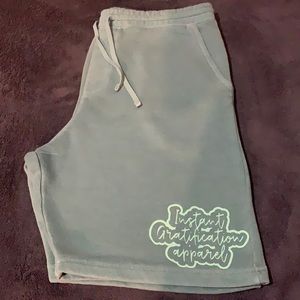 Instant gratification apparel pigment mint shorts